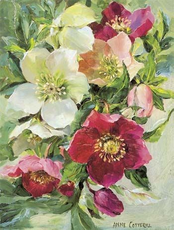 Fleurs de Anne Cotterill