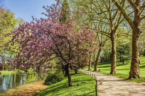 Parc  au printemps