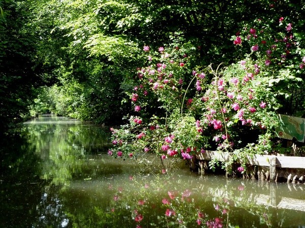 Amiens -Les hortillonnages