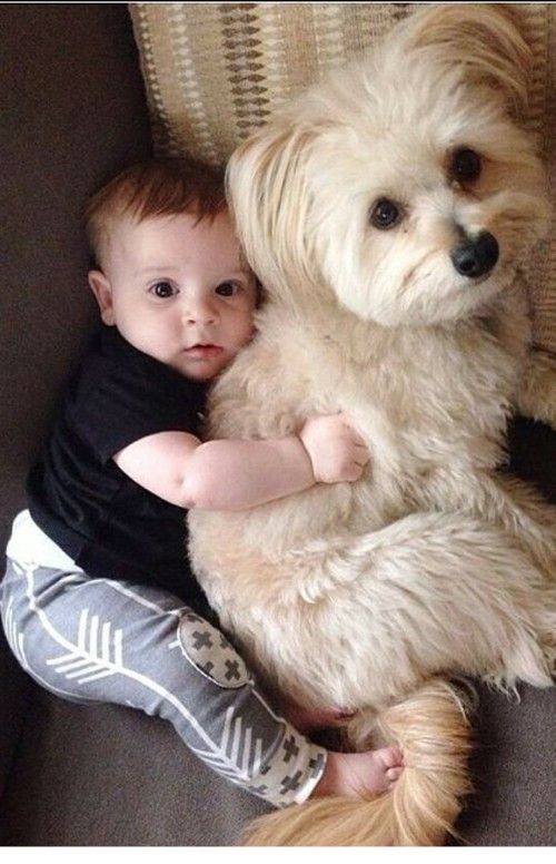 Enfant et leur animal