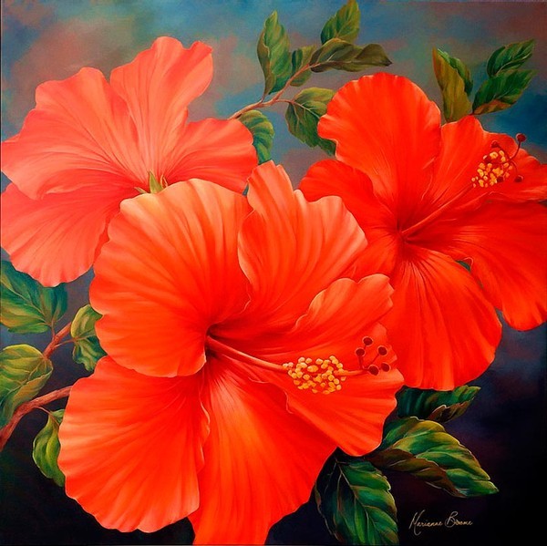 Fleurs de Marianne Broome.