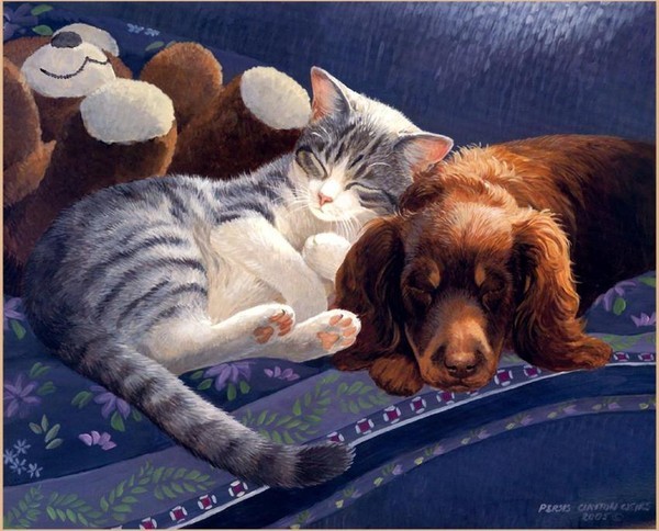 Belle image de chats et chiens