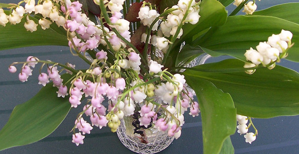 Le temps du Muguet