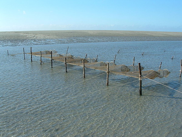 Plage de Basse Normandie (Manche)