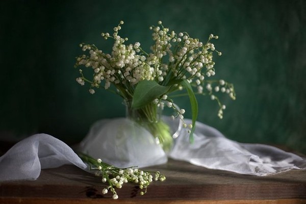 Le temps du Muguet