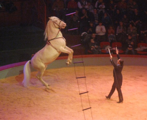 Amiens-Le cirque Arlette Gruss