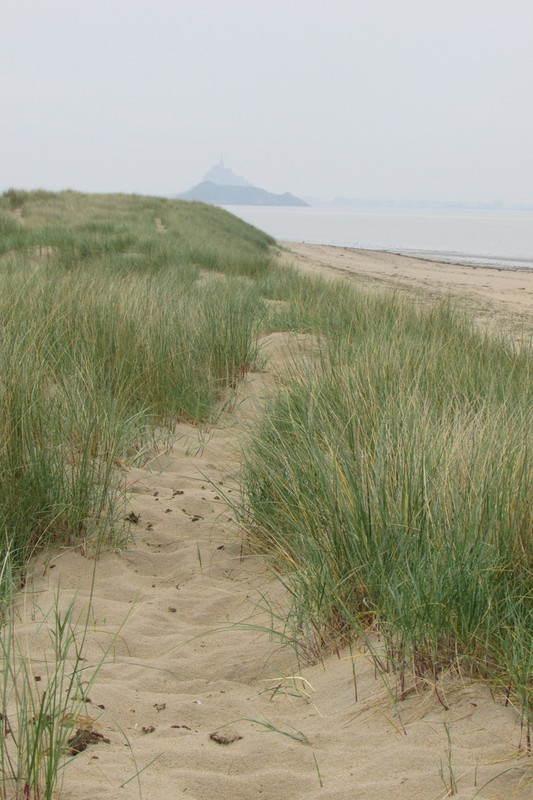 Plage de Basse Normandie (Manche)