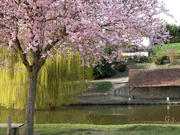 Paysages - Printemps-EtÃ©