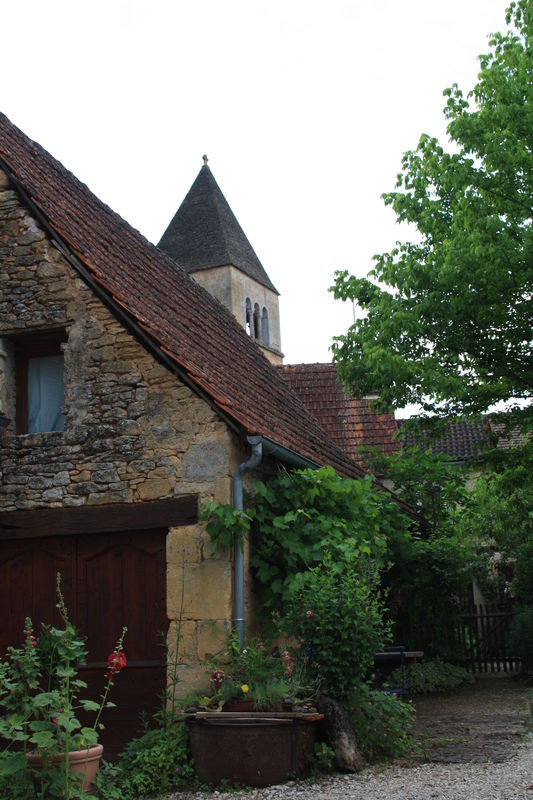 Beau village de Saint-Léon-sur-Vézère