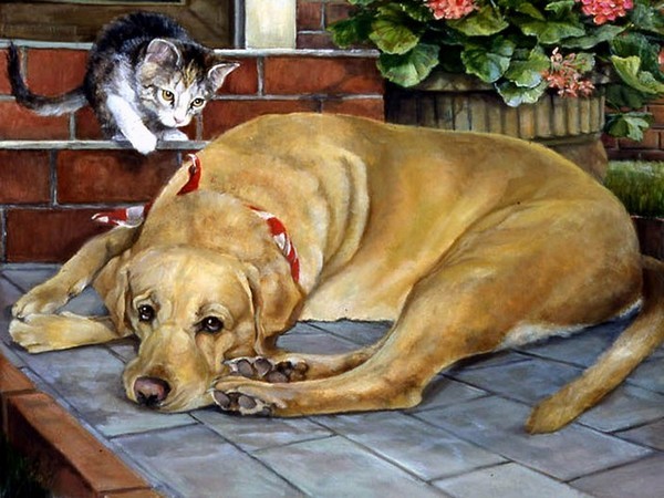 Belle image-Chien et chat