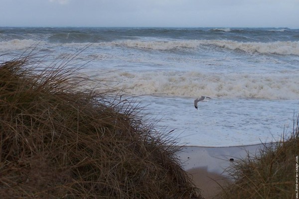 Plage de Basse Normandie (Calvados)