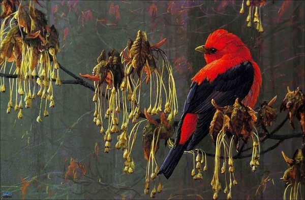  Superbe peinture d'oiseaux