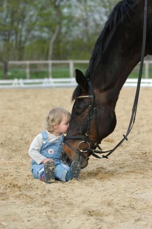 Enfant et leur animal