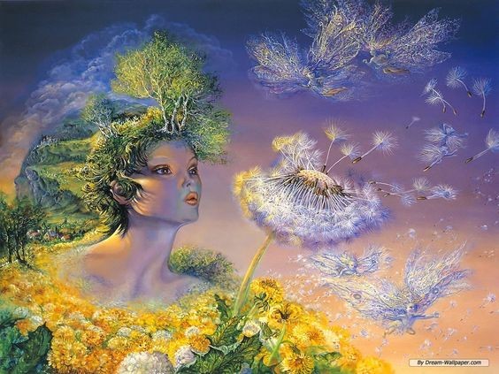 Féerie de Josephine Wall