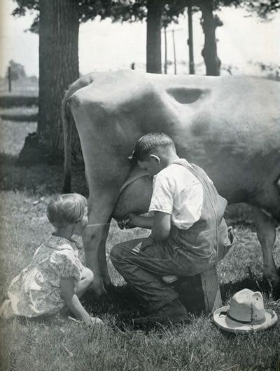 Le temps de l'innocence