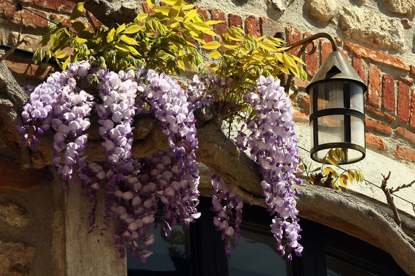 Beau village de Pérouges