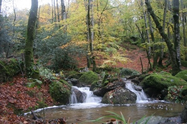 Paysage d'automne