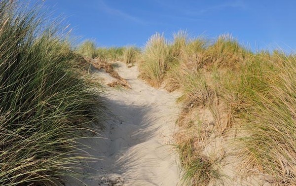 Plage du Nord - Pas de Calais