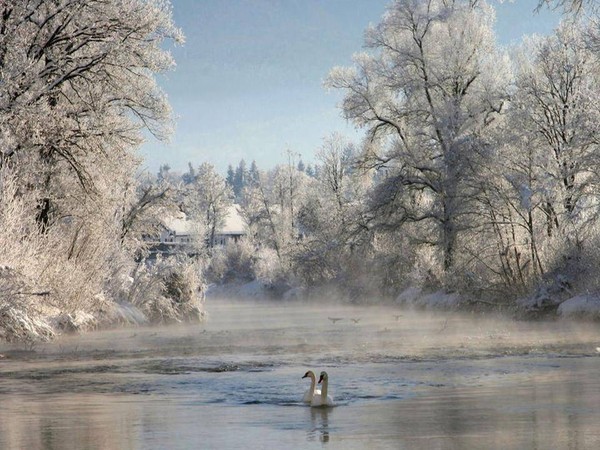 Paysage d'hiver