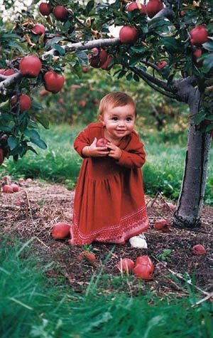 Le temps de l'innocence