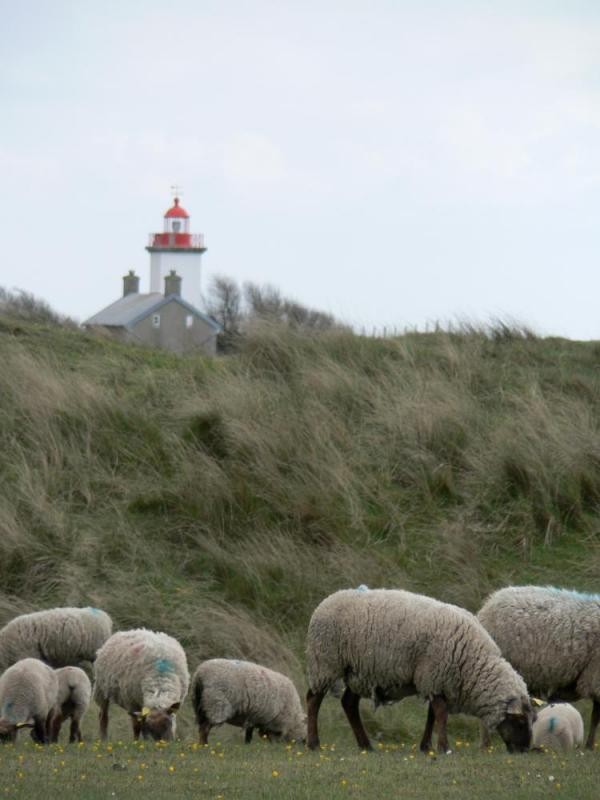 Plage de Basse Normandie (Manche)