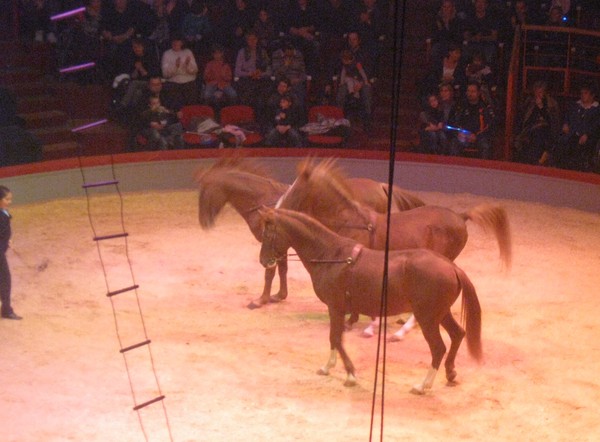 Amiens-Le cirque Arlette Gruss