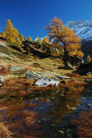 Paysage d'automne