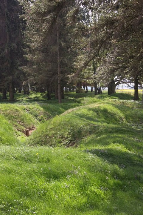 Beaumont-Hamel- 1ére guerre mondiale ,bataille de la Somme