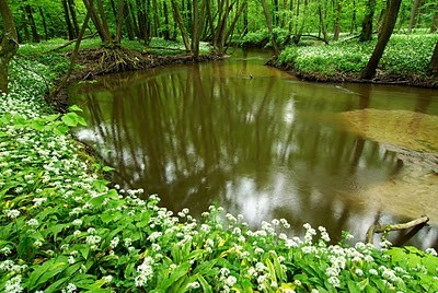 Paysages -Printemps -Eté