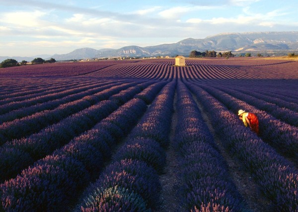 Paysages -Printemps -Eté