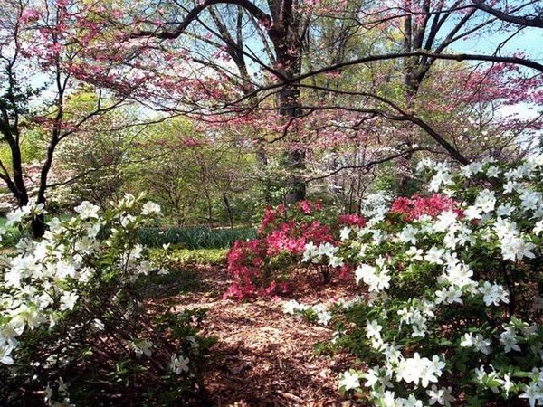 Paysages -Printemps -Eté