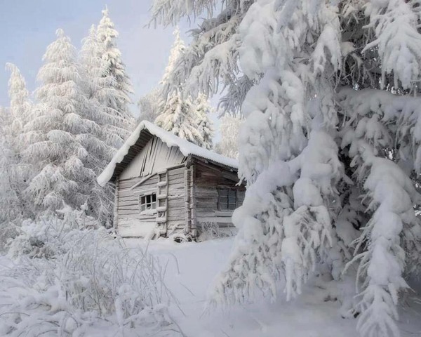 Paysage d'hiver