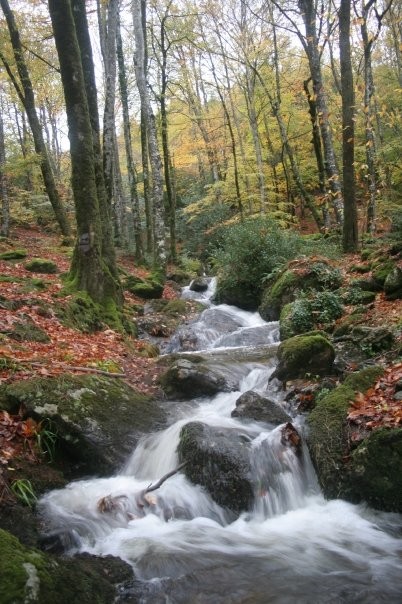 Paysage d'automne