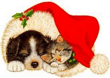 Chaton et chien de Noël