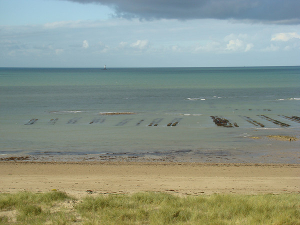 Plage de Basse Normandie (Manche)