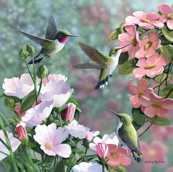 Superbe peinture d'oiseaux de Bradley Jackson
