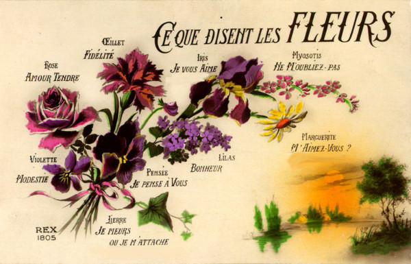 Cartes anciennes de fleurs