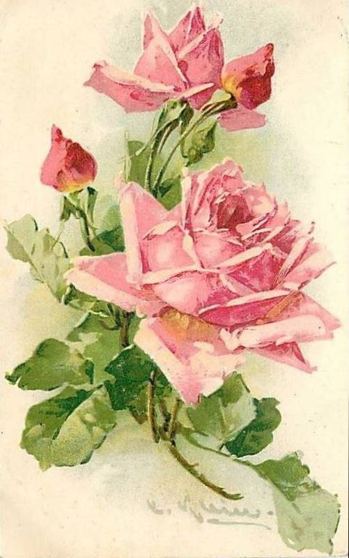 Fleurs de Catherine Klein