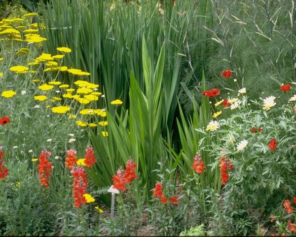 Paysages -Printemps -Eté