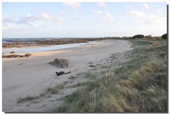 Plage de Basse Normandie (Manche)