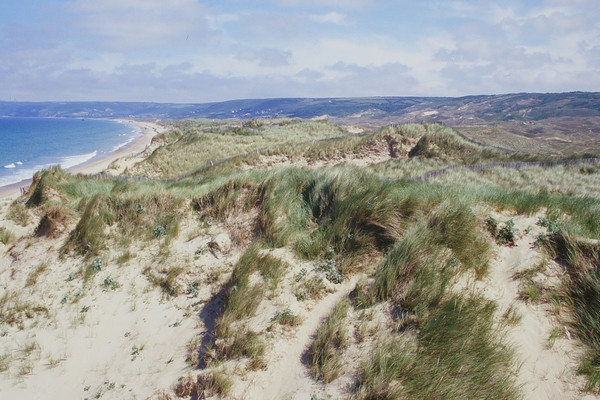 Plage de Basse Normandie (Manche)