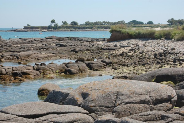 Plage de Basse Normandie (Manche)