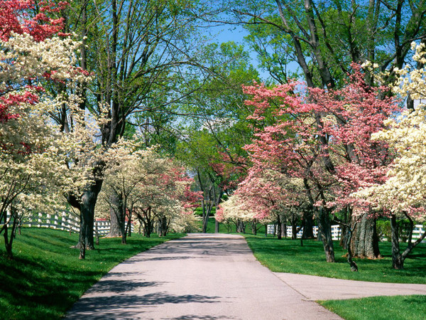 Paysages -Printemps -Eté