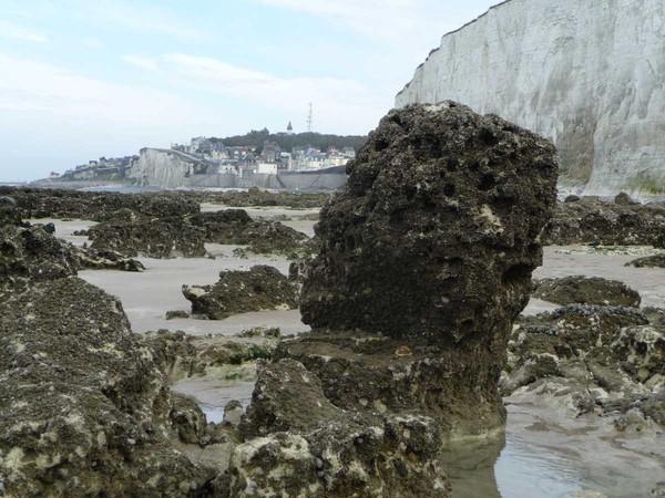 Plage de Picardie