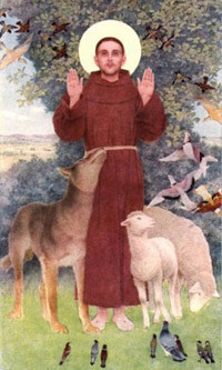 Images pieuses(Saint François d'Assise)