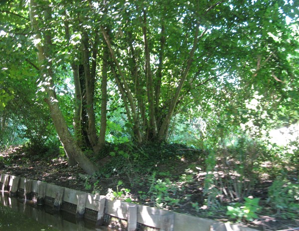 Amiens -Les hortillonnages