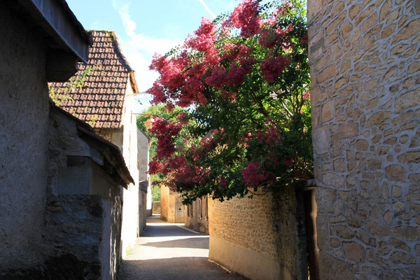 Beau village de Saint-Léon-sur-Vézère