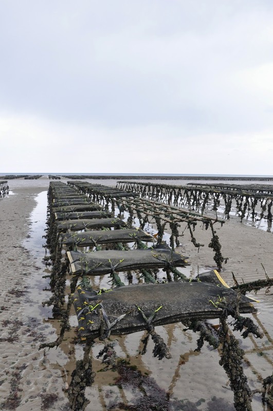 Plage de Normandie(Calvados)