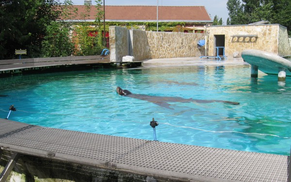 Zoo d'Amiens -2012