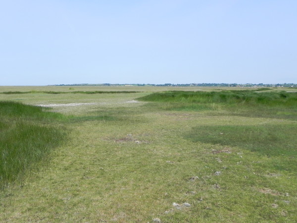 Plage de Basse Normandie (Manche)